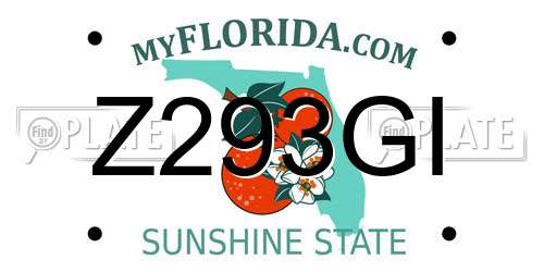 Z293GI Florida License Plate