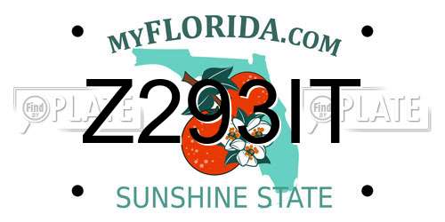 Z293IT Florida License Plate