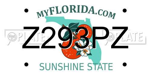 Z293PZ Florida License Plate