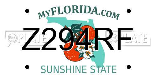 Z294RF Florida License Plate
