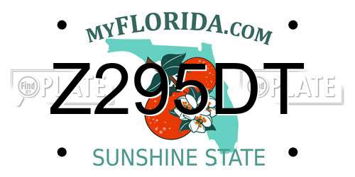Z295DT Florida License Plate