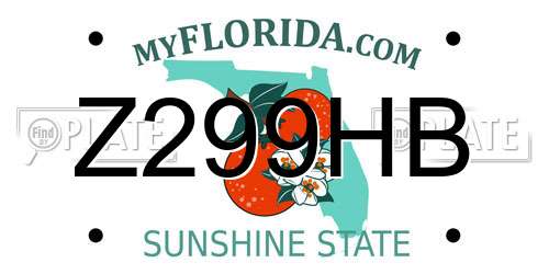 Z299HB Florida License Plate