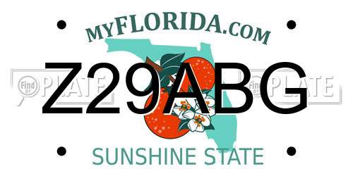 Z29ABG Florida License Plate