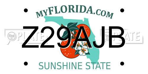 Z29AJB Florida License Plate