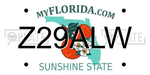 Z29ALW Florida License Plate