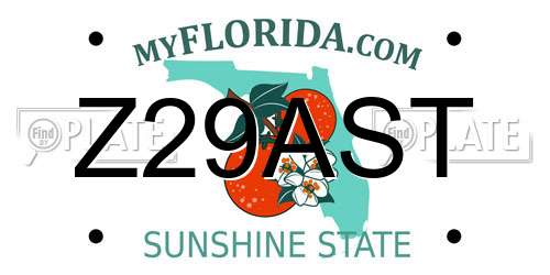 Z29AST Florida License Plate