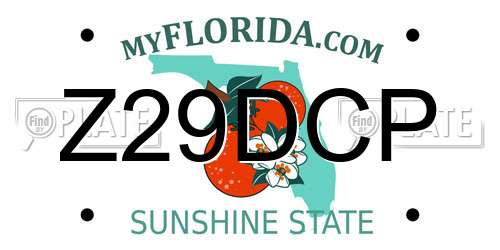 Z29DCP Florida License Plate