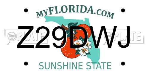 Z29DWJ Florida License Plate