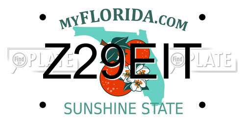 Z29EIT Florida License Plate
