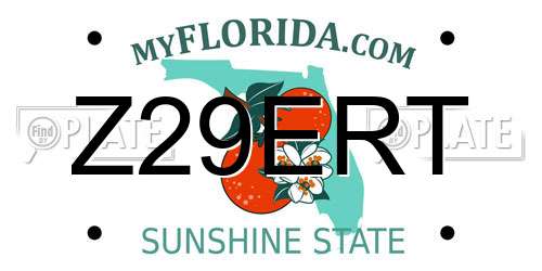 Z29ERT Florida License Plate