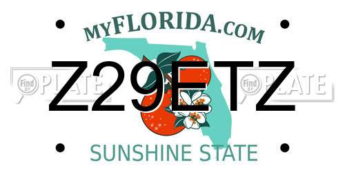 Z29ETZ Florida License Plate