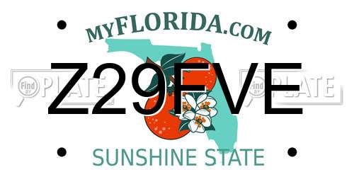 Z29FVE Florida License Plate