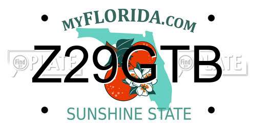 Z29GTB Florida License Plate