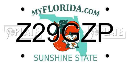 Z29GZP Florida License Plate