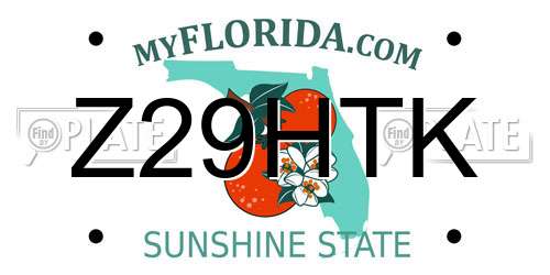 Z29HTK Florida License Plate
