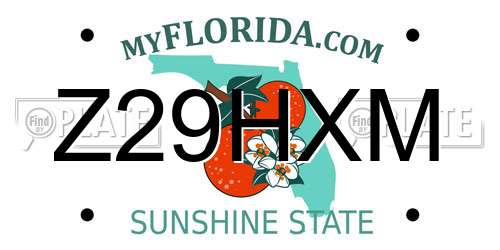 Z29HXM Florida License Plate