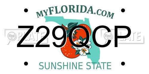 Z29QCP Florida License Plate