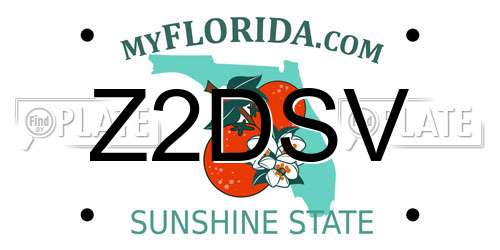 Z2DSV Florida License Plate