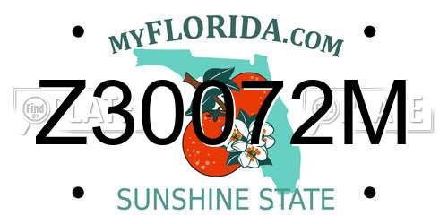 Z30072M Florida License Plate