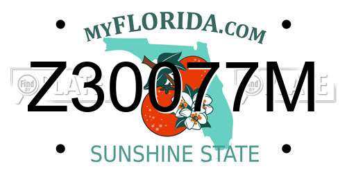 Z30077M Florida License Plate