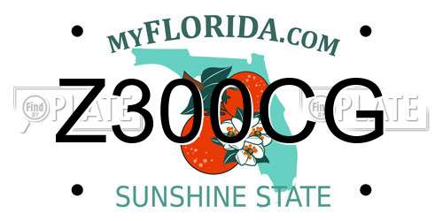 Z300CG Florida License Plate