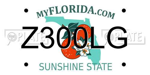 Z300LG Florida License Plate