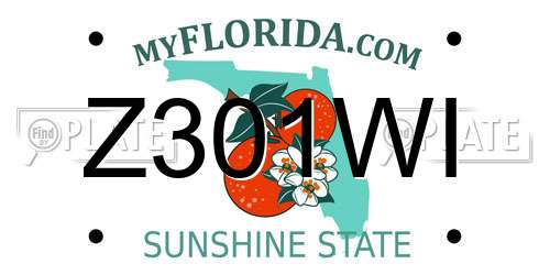 Z301WI Florida License Plate