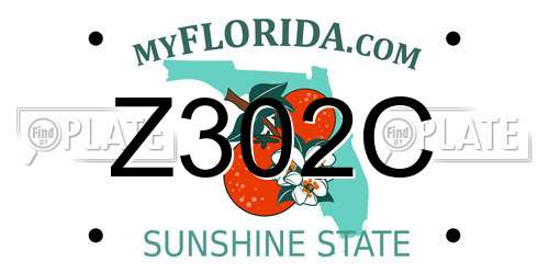 Z302C Florida License Plate