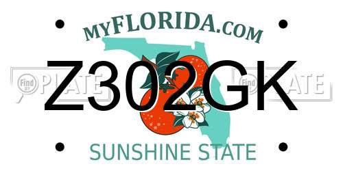 Z302GK Florida License Plate