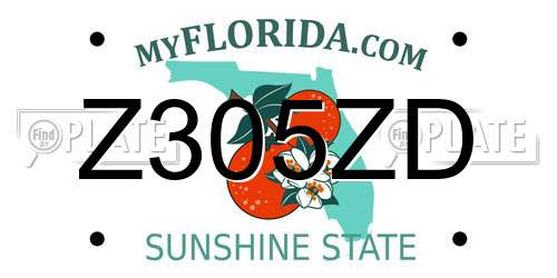 Z305ZD Florida License Plate