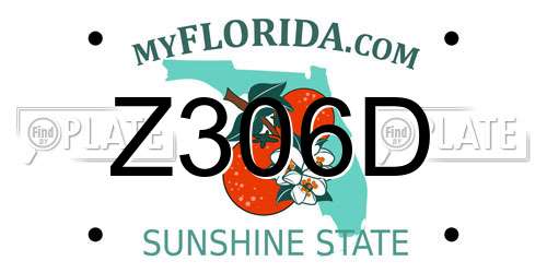 Z306D Florida License Plate