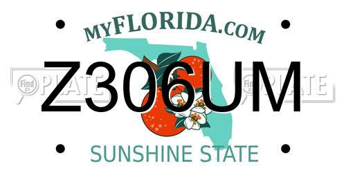 Z306UM Florida License Plate