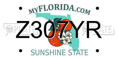 Z307YR Florida License Plate