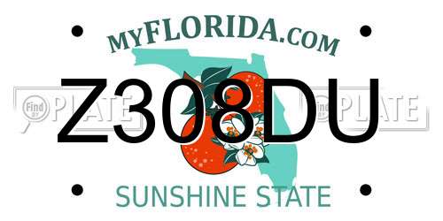 Z308DU Florida License Plate