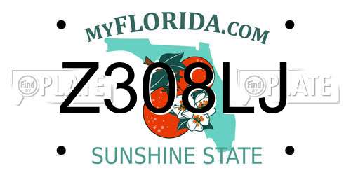 Z308LJ Florida License Plate
