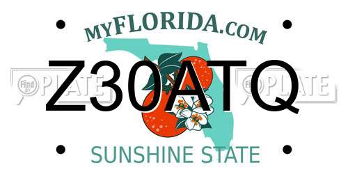 Z30ATQ Florida License Plate