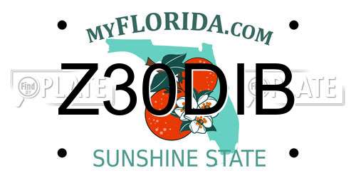 Z30DIB Florida License Plate