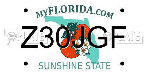 Z30JGF Florida License Plate