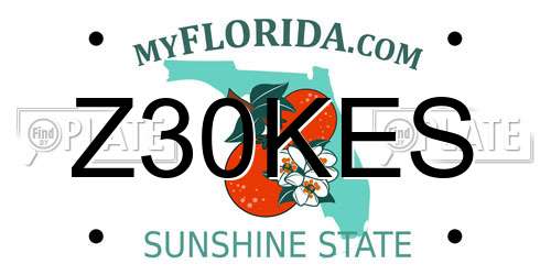 Z30KES Florida License Plate