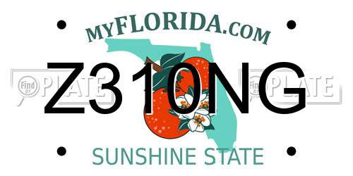 Z310NG Florida License Plate