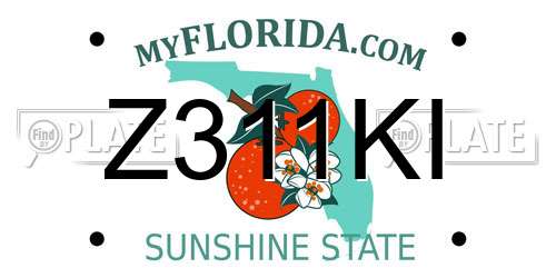 Z311KI Florida License Plate
