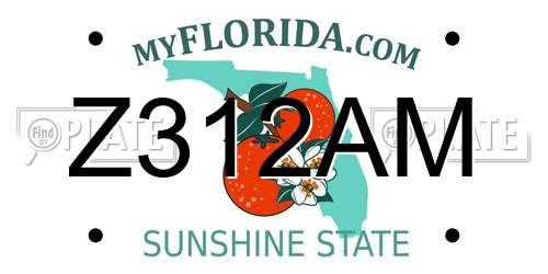 Z312AM Florida License Plate
