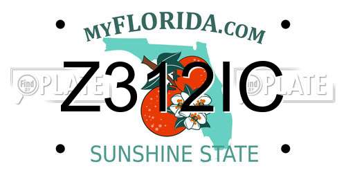 Z312IC Florida License Plate