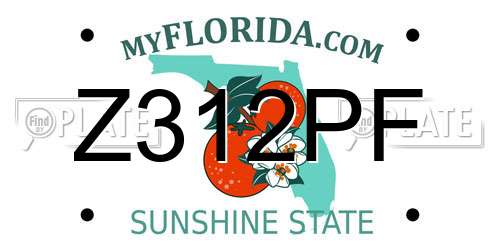 Z312PF Florida License Plate