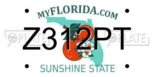 Z312PT Florida License Plate