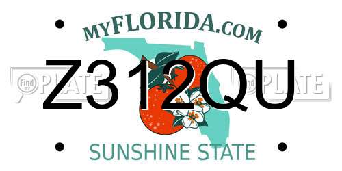 Z312QU Florida License Plate
