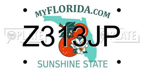 Z313JP Florida License Plate