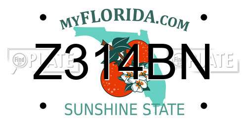 Z314BN Florida License Plate