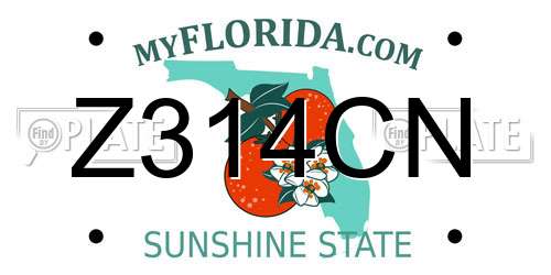 Z314CN Florida License Plate