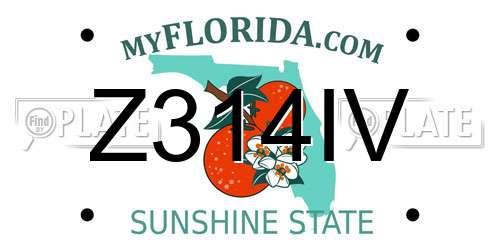 Z314IV Florida License Plate